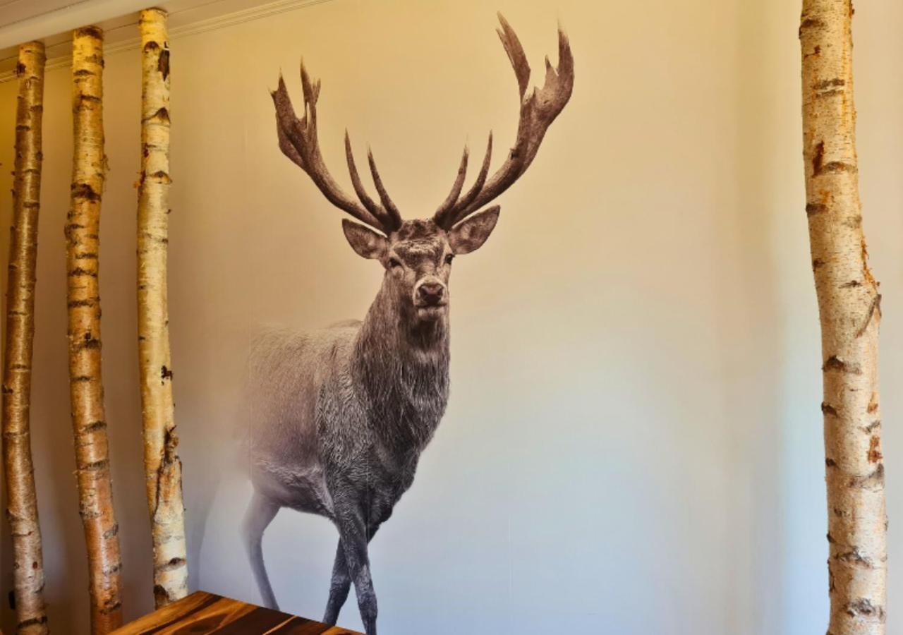 Hotel Harzresidenz Thale Bagian luar foto